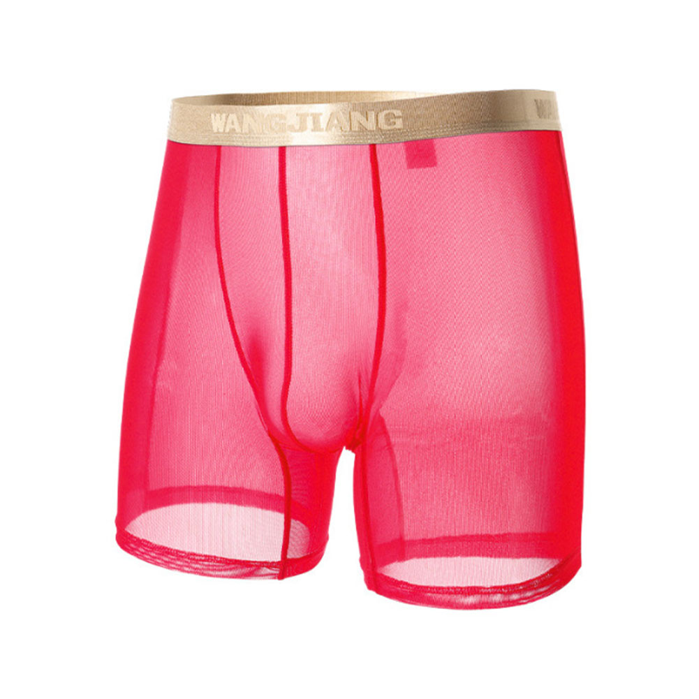 Men Mesh See Through   Thin Se - Boxer Shorts Modal 评论和价格